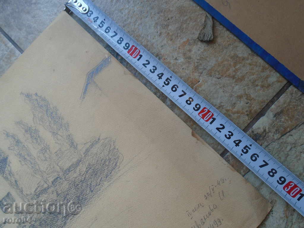 Delivery of STAR RISUNKA ISKRA IVANOVA Delivery of STAR RISUNKA ISKRA IVANOVA