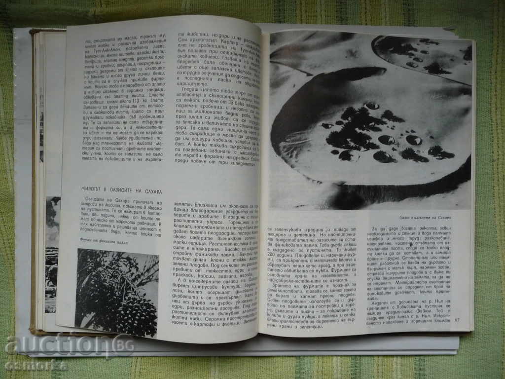 Delivery of Africa and America Delivery of Africa and America