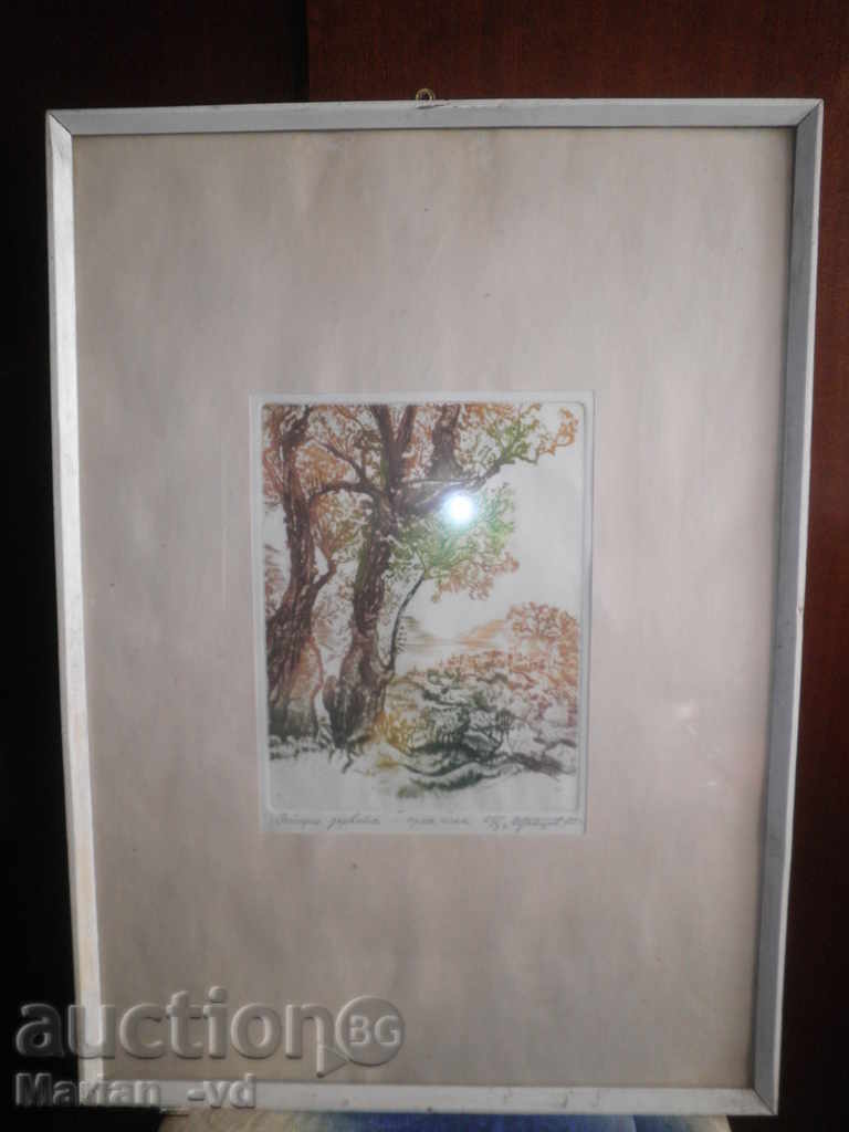 Подписана картина"Стари дървета"-суха игла-1985година
