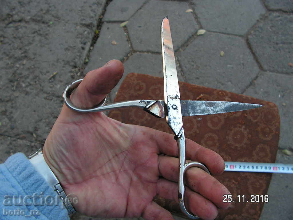 7119. STARA SHIVASKA BALANCED BALANCED BONE - 5 7119. STARA SHIVASKA BALANCED BALANCED BONE - 5