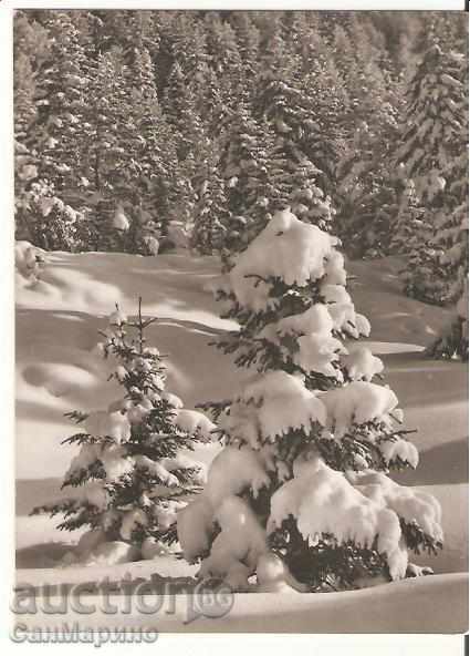 Card Bulgaria Winter landscape 3 *