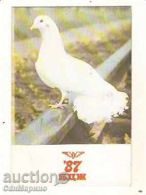 Календарче  Б Д Ж  1987 г. тип 2