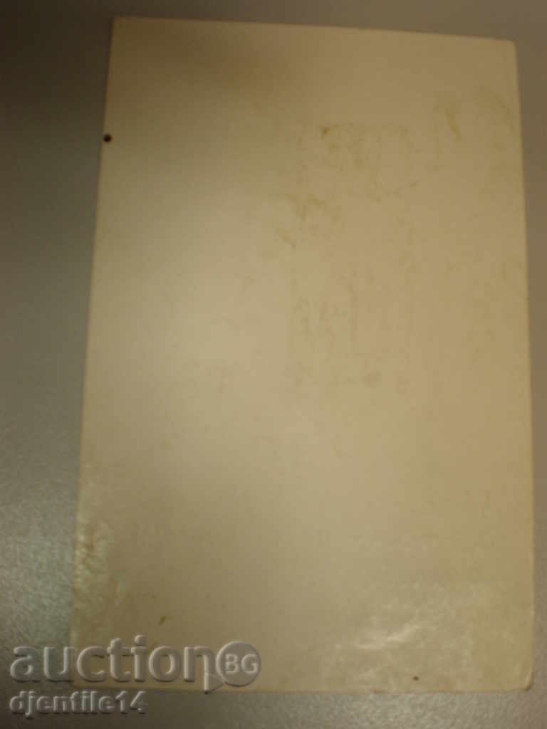 Licitație mascara schmeiser-caricatura.