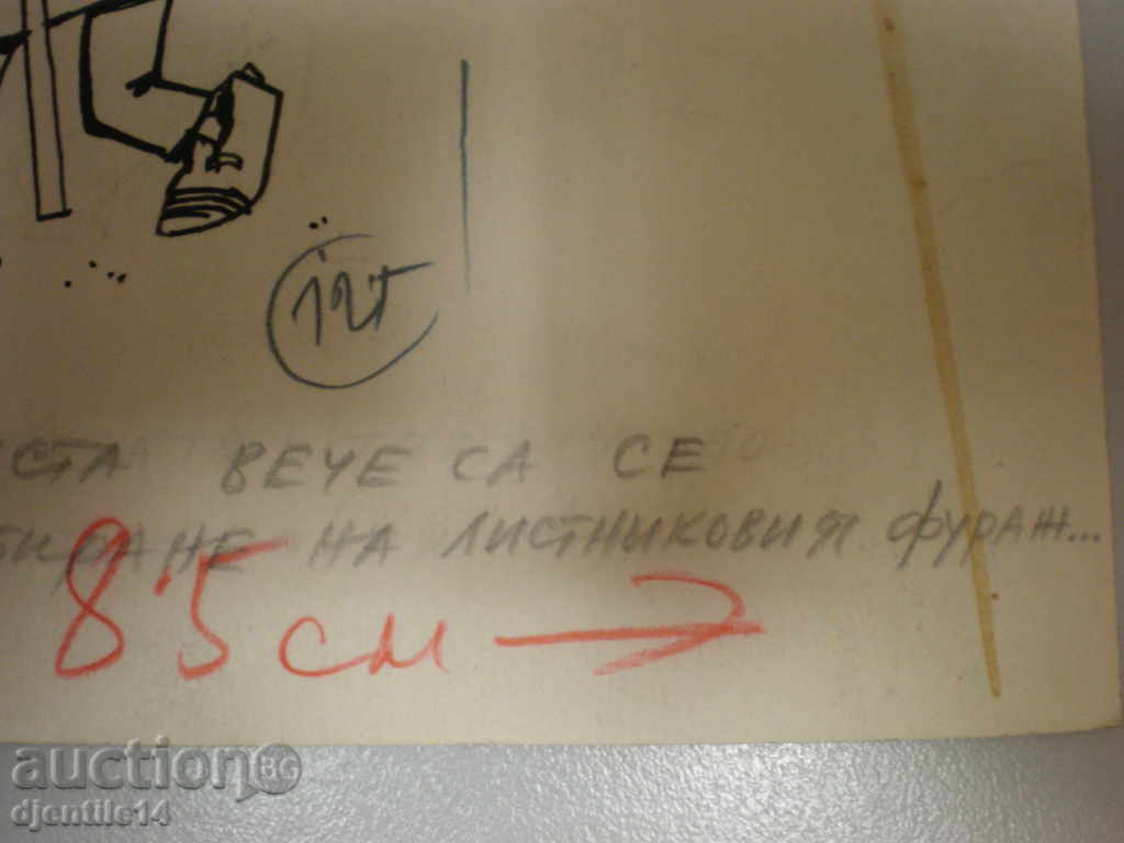 Licitație mascara schmeiser-caricatura.