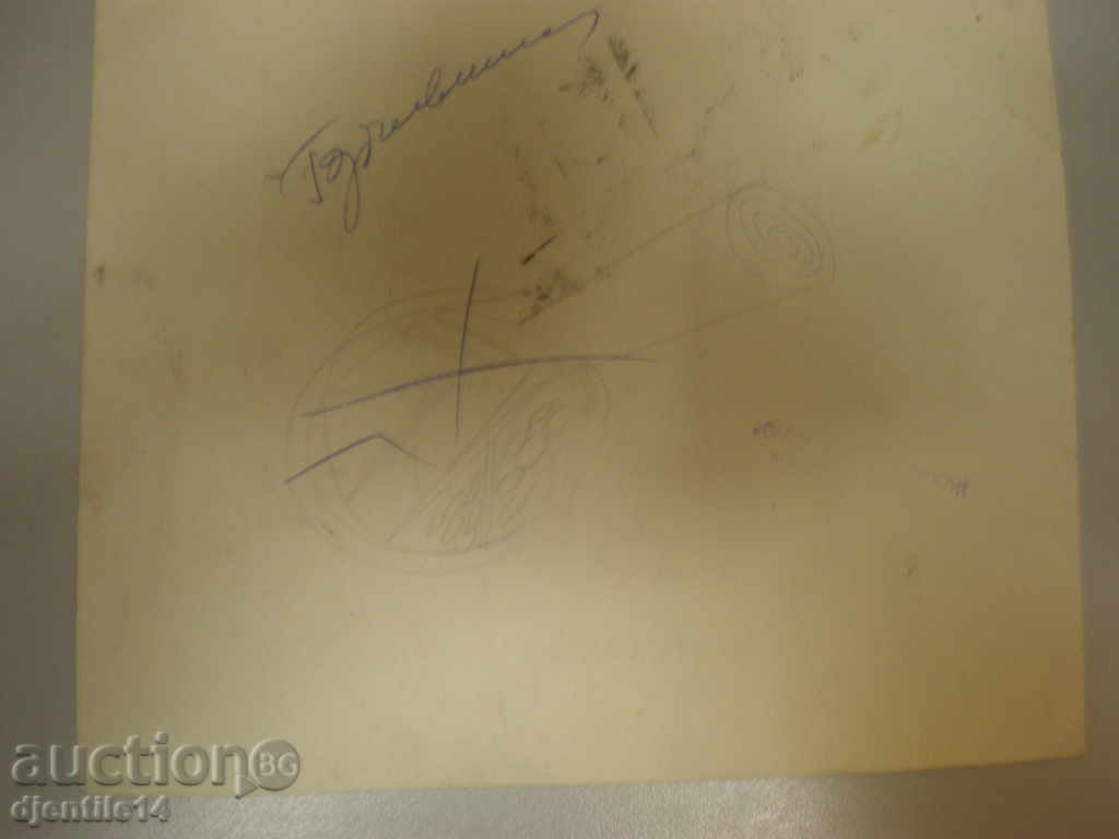 Livrarea mascara schmeiser-caricatura.