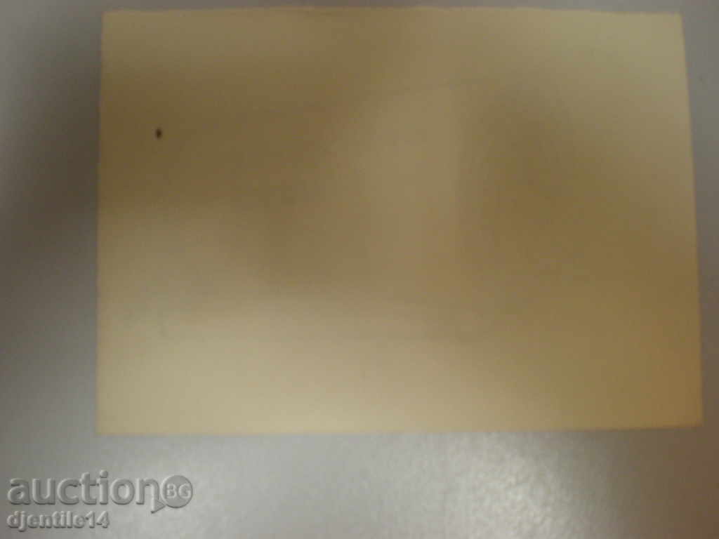 Licitație mascara schmeiser-caricatura. Licitație mascara schmeiser-caricatura.