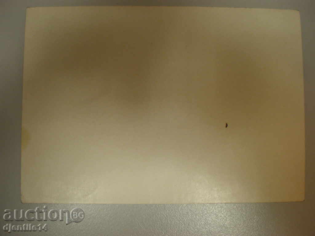 Livrarea mascara schmeiser-caricatura. Livrarea mascara schmeiser-caricatura.