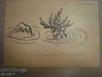 μάσκαρα schmeiser-caricature.