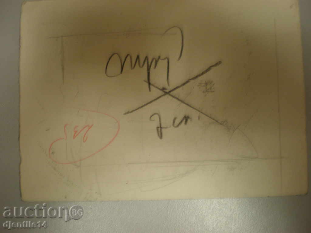 Аукцион шмайзер-карикатура туш.