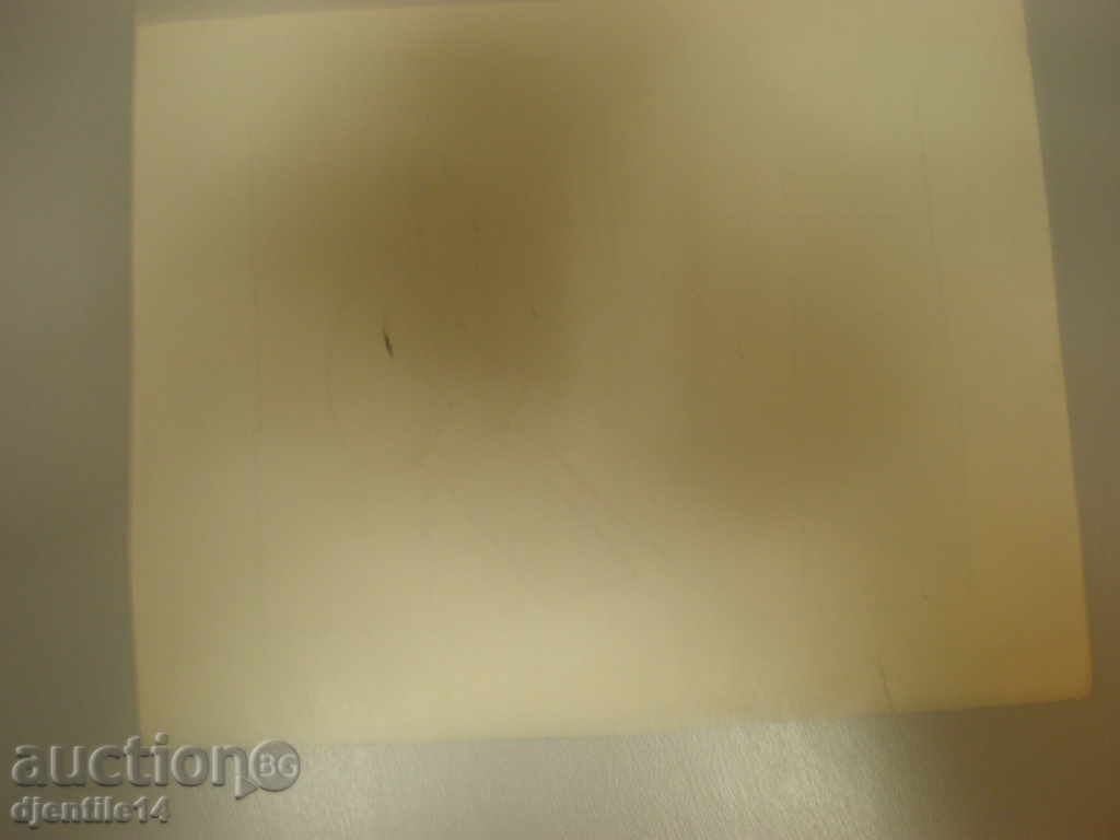 Δημοπρασία μάσκαρα schmeiser-caricature.