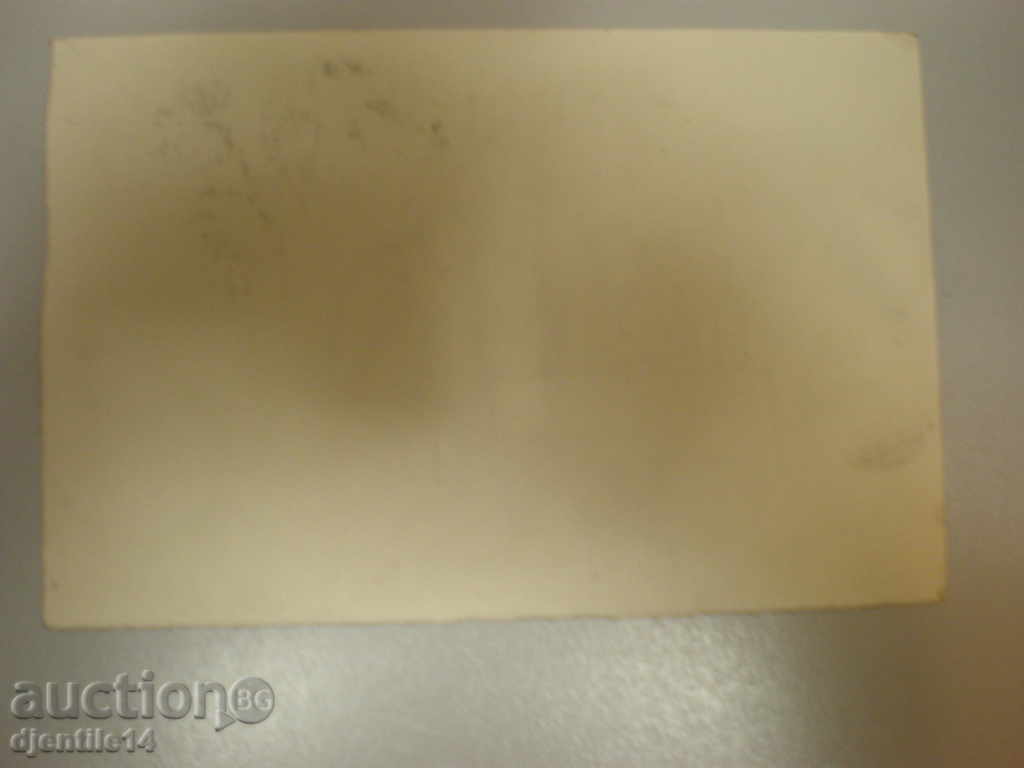 Auction schmeiser-caricature mascara. Auction schmeiser-caricature mascara.