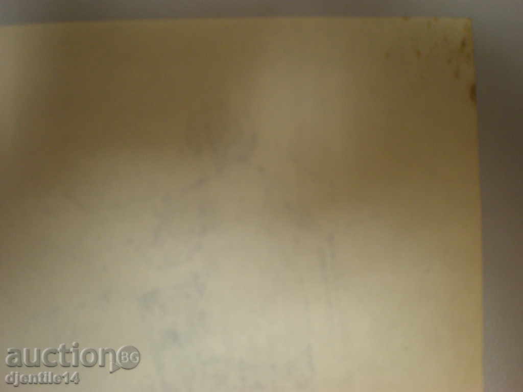 Auction Tush-79. Signed Auction Tush-79. Signed