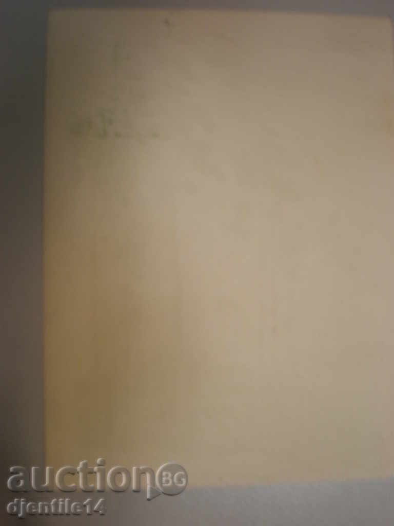 Licitație tipar, semnat - K.N. Licitație tipar, semnat - K.N.