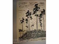 отпечатък,подписан-К.Н.