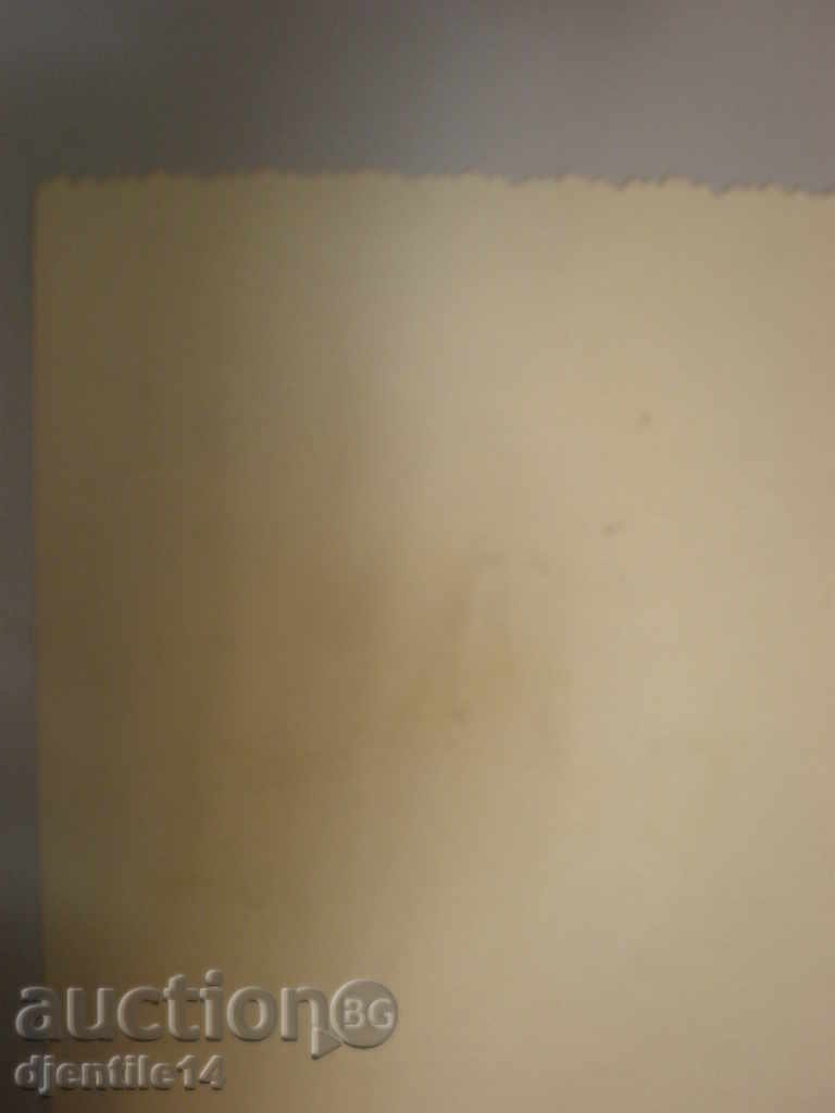 Auction imprint. Auction imprint.