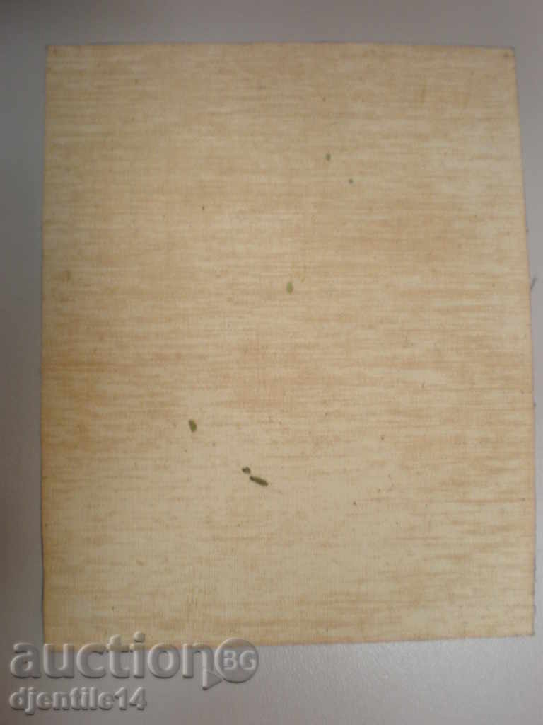 painting, oil, canvas with price € 25.00 | 48.90 BGN