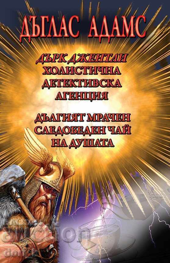 Дърк Джентли. Холистична детективска агенция; Дългият мрачен