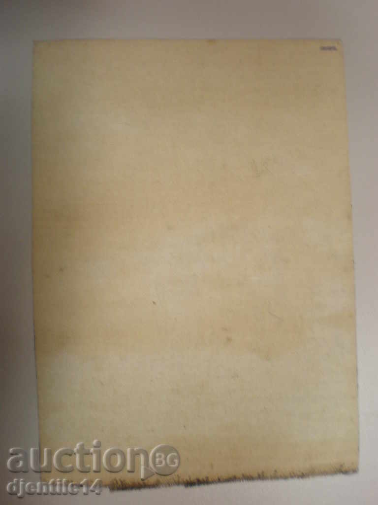Licitație pictura, ulei pe panza, semnata