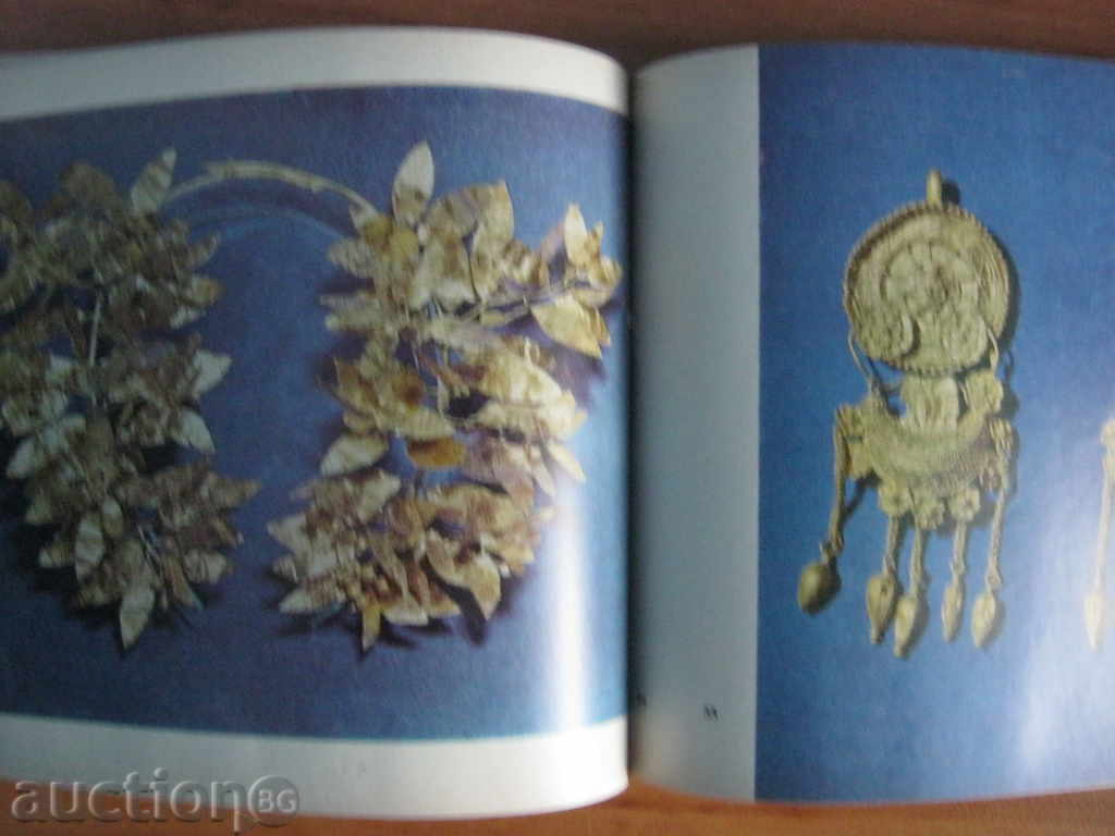 Licitație Album foto: Vrața. Artă veche