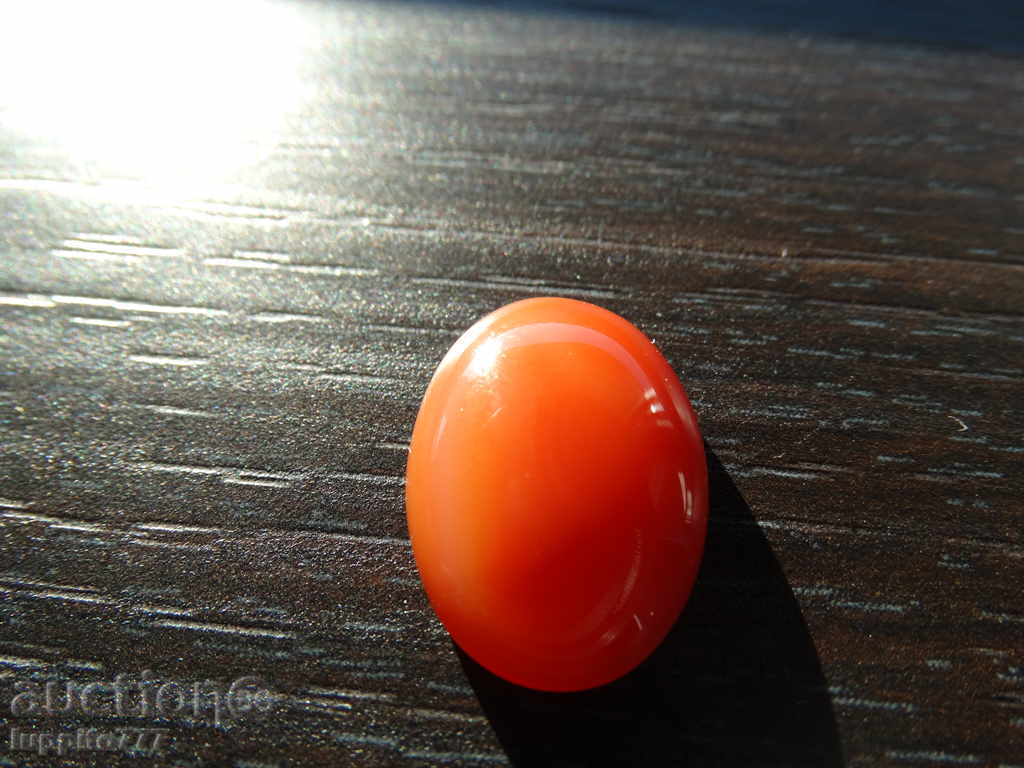 natural carnelian with price 40.50 BGN | € 20.71 natural carnelian with price 40.50 BGN | € 20.71