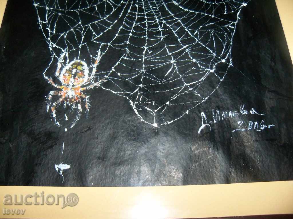 "Spiderweb" great graphics by the artist Desislava Ilieva with price 75.00 BGN | € 38.35 "Spiderweb" great graphics by the artist Desislava Ilieva with price 75.00 BGN | € 38.35