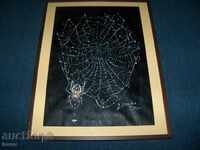 "Spiderweb" great graphics by the artist Desislava Ilieva