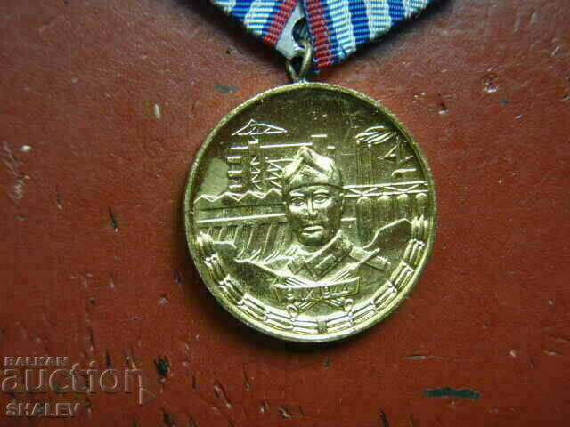 Delivery of Medal "For 10 years of service in the Construction Forces" (1974) /1/ Delivery of Medal "For 10 years of service in the Construction Forces" (1974) /1/