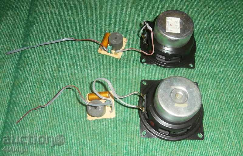 Livrarea Detalii Radio - mic difuzor 3