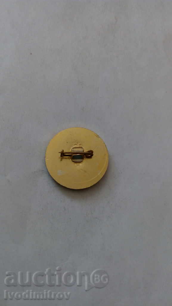 Значка Еверхангай с цена 0.65 лв. | € 0.33 Значка Еверхангай с цена 0.65 лв. | € 0.33