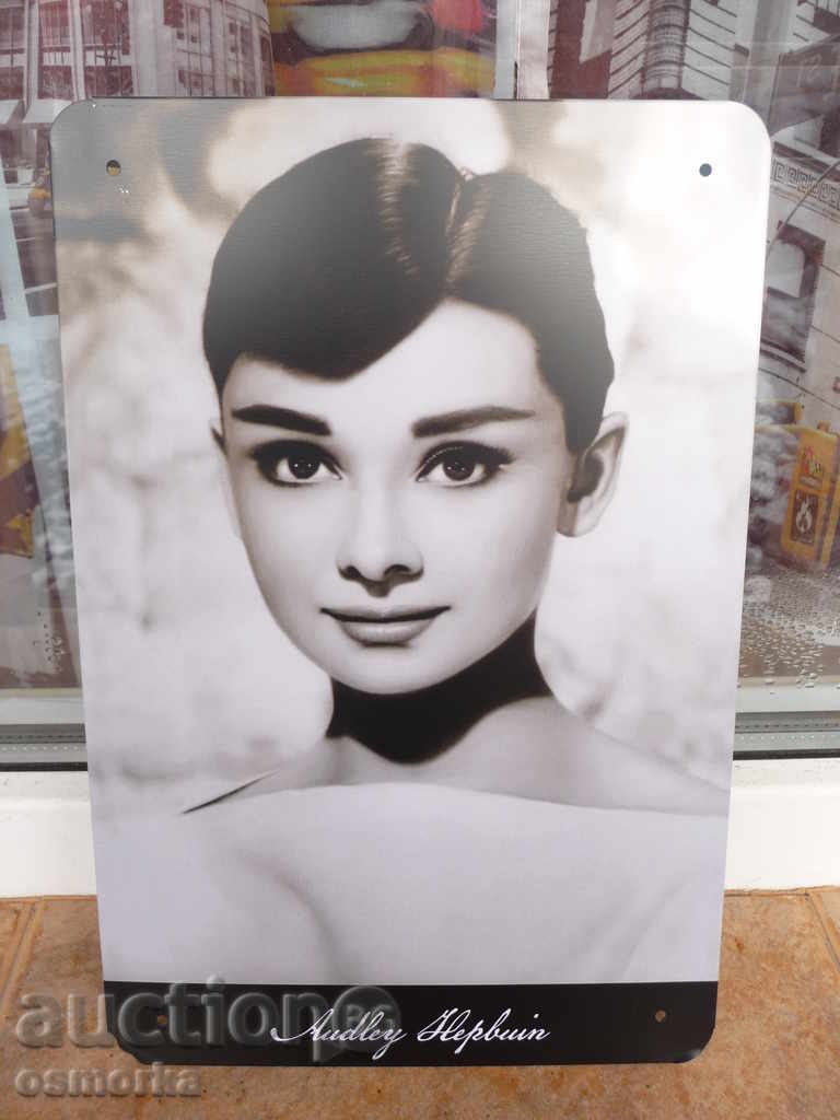 Metal Plaque Film Audrey Hepburn Movie Icon of Beautiful Class