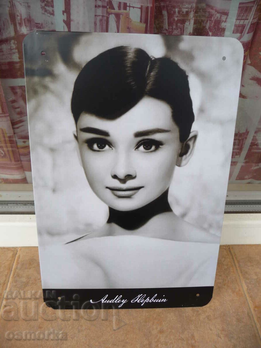 Placă metalică film Audrey Hepburn pictograma filmului clasă frumoasă