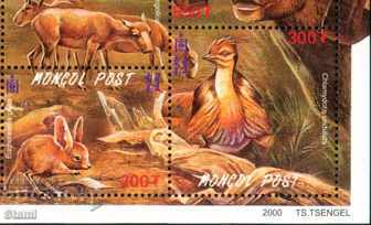 Branch Marks Endangered Species in the Gobi Desert and Steppe Zon with price 13.30 BGN | € 6.80