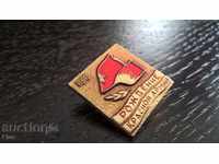 Badge - Russia (USSR) - Red Army birth