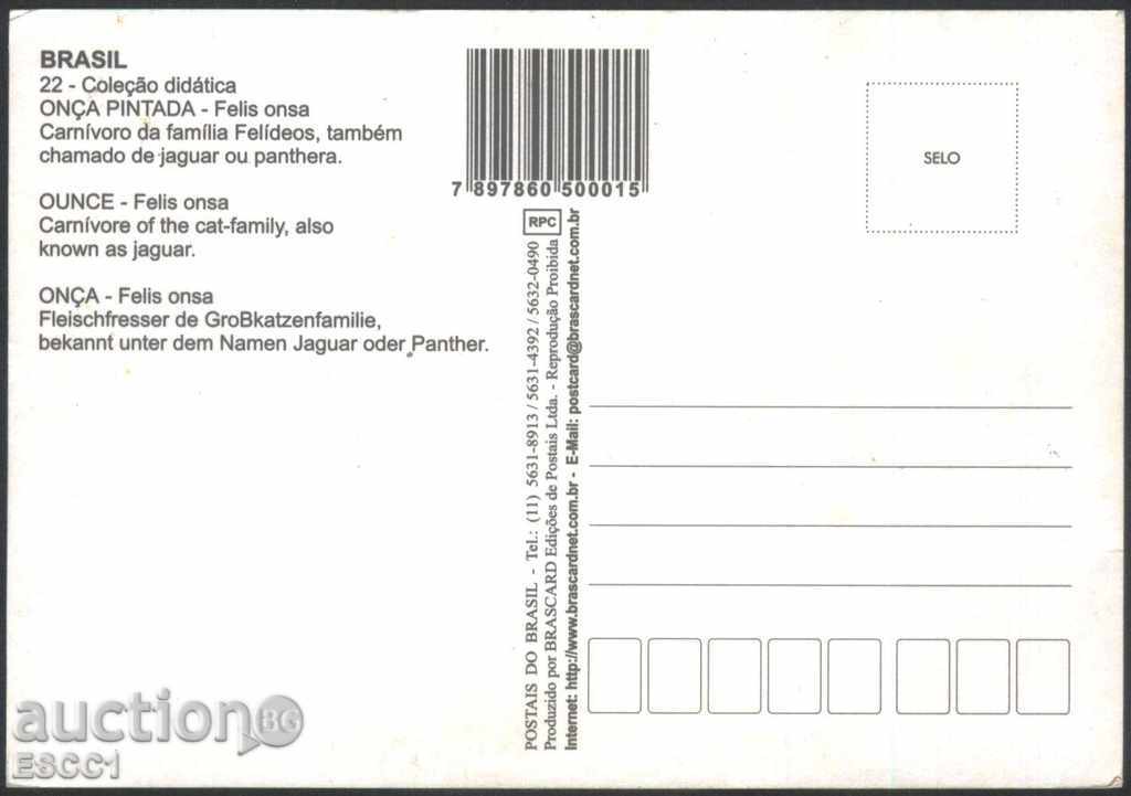Postcard Fauna Jaguar from Brazil with price 1.50 BGN | € 0.77 Postcard Fauna Jaguar from Brazil with price 1.50 BGN | € 0.77