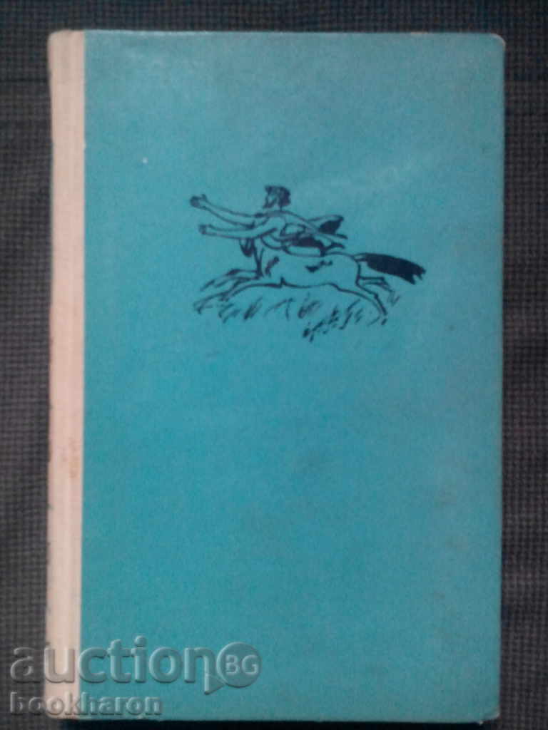 John Updike: Centaur