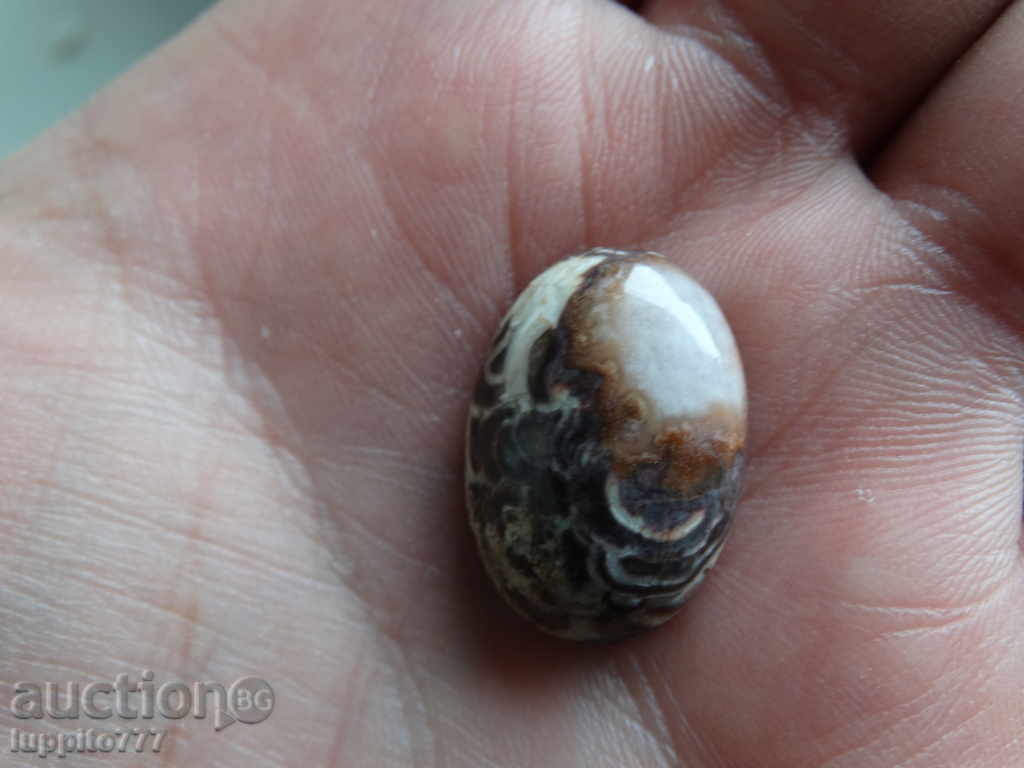 agate cabobash with price 22.99 BGN | € 11.75 agate cabobash with price 22.99 BGN | € 11.75
