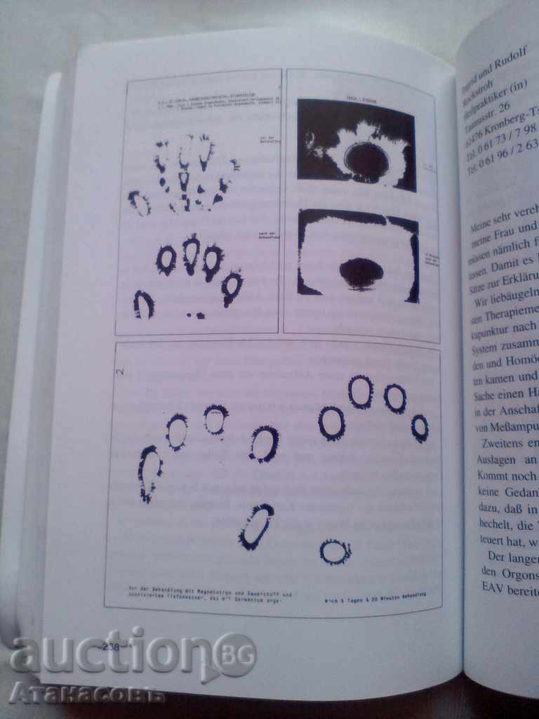 Auction Bioenergy MEDEA Verlag 1993 Auction Bioenergy MEDEA Verlag 1993