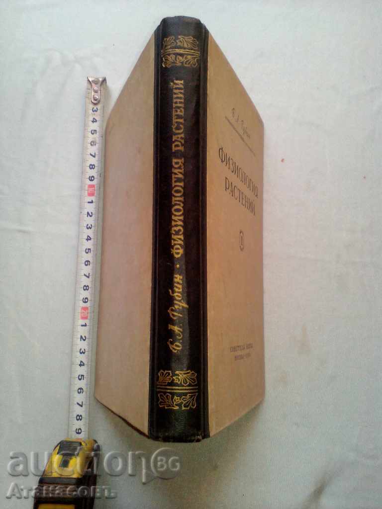 Physiology Plant BA Rubin 1956 with price 15.00 BGN | € 7.67 Physiology Plant BA Rubin 1956 with price 15.00 BGN | € 7.67