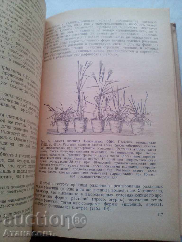 Delivery of Physiology Plant BA Rubin 1956 Delivery of Physiology Plant BA Rubin 1956