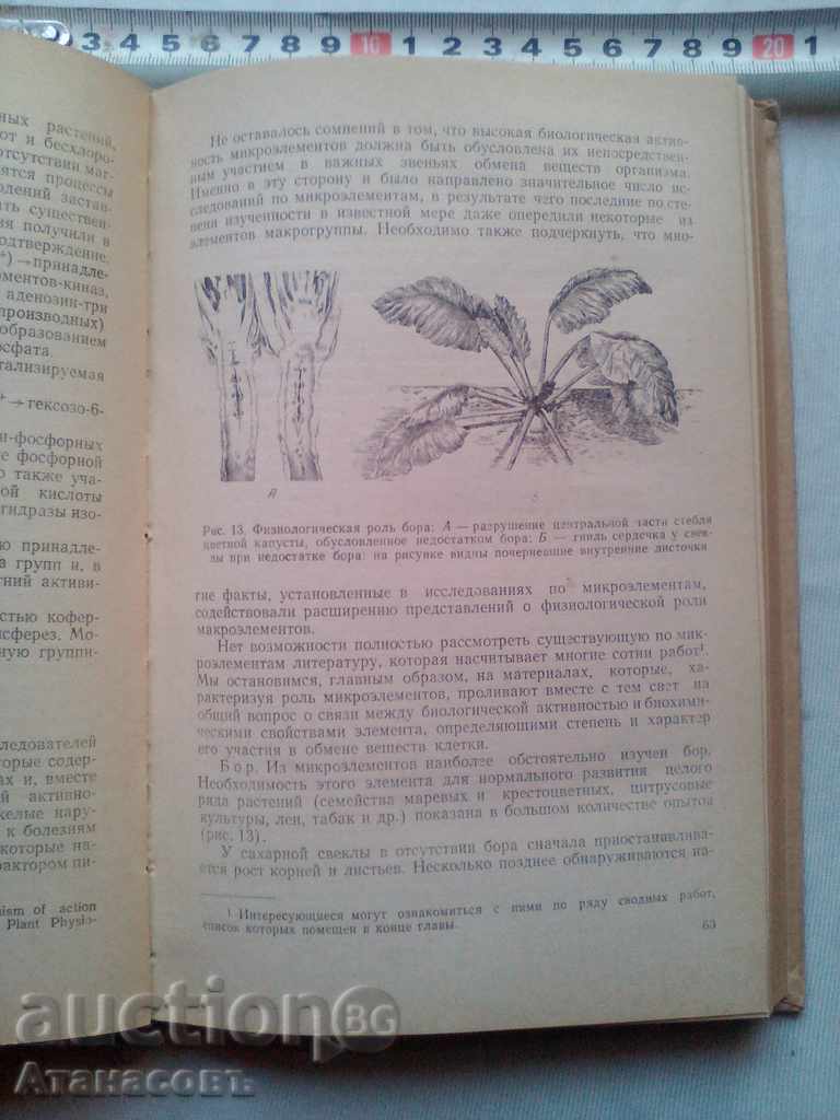 Physiology Plant BA Rubin 1956 - 5 Physiology Plant BA Rubin 1956 - 5
