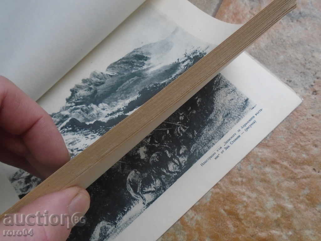 GENERAL ART EXHIBITION 1953 - 6 GENERAL ART EXHIBITION 1953 - 6