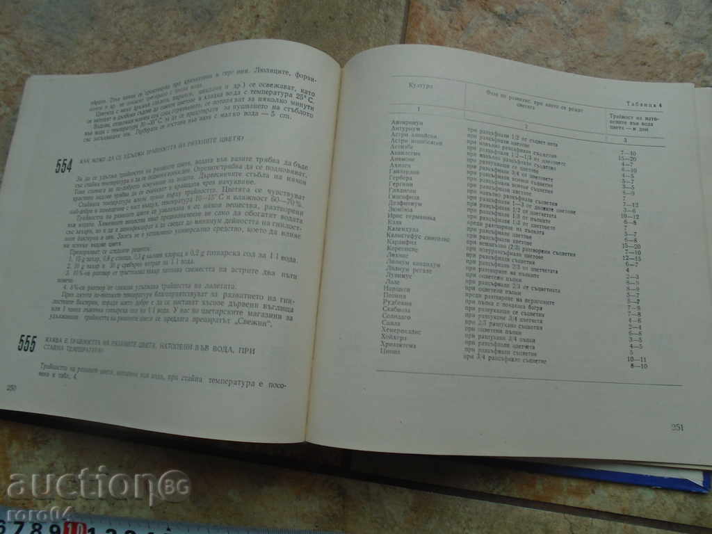 Delivery of THE COUNCIL FOR THE LOVE TSVETAR Delivery of THE COUNCIL FOR THE LOVE TSVETAR