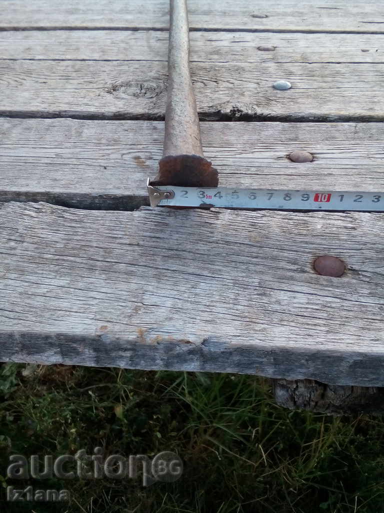 Auction Ancient Probiotic Auction Ancient Probiotic