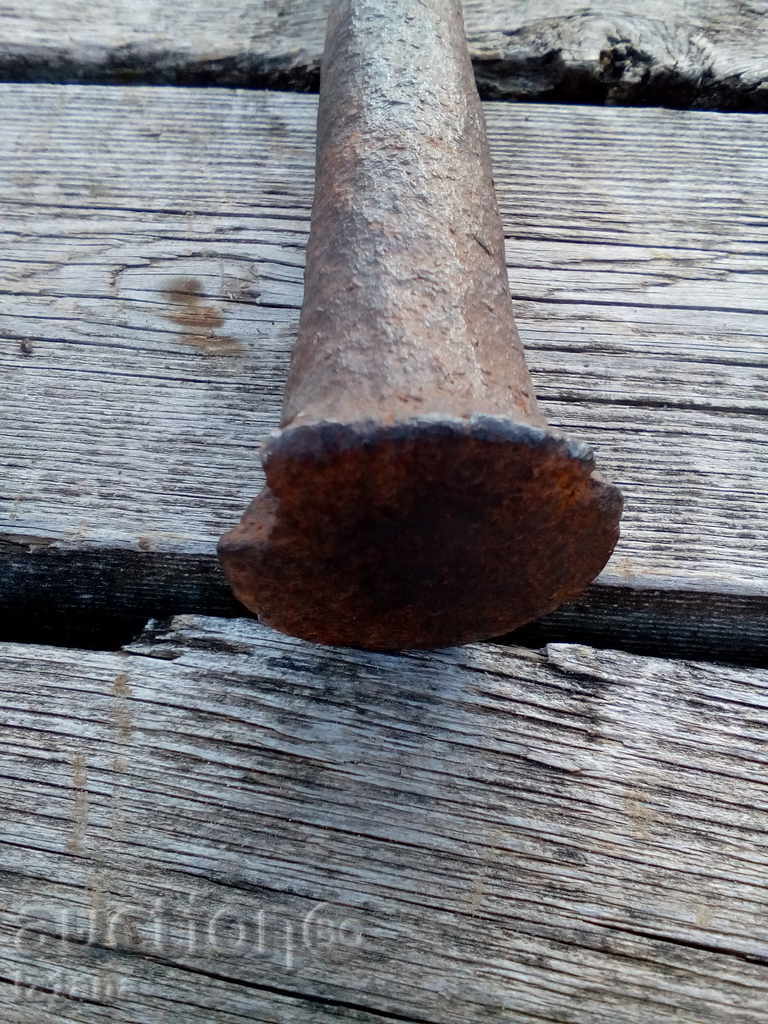 Delivery of Ancient Probiotic Delivery of Ancient Probiotic