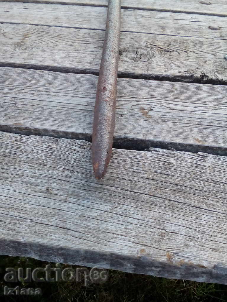 Ancient Probiotic - 5 Ancient Probiotic - 5