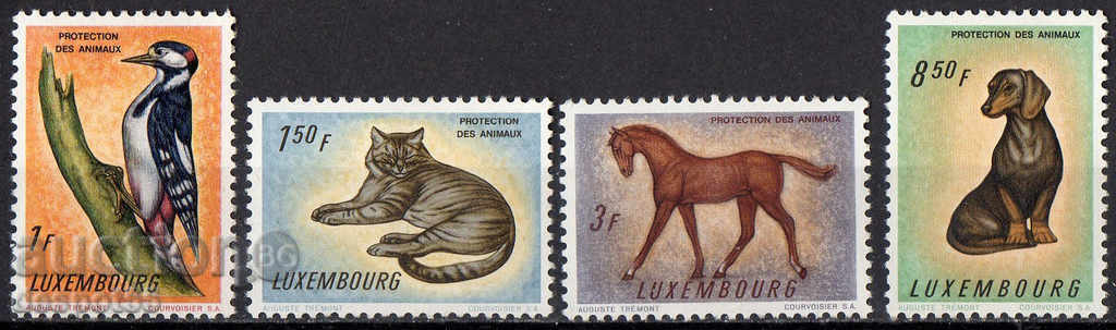 1961 Luxemburg. Protecția animalelor.