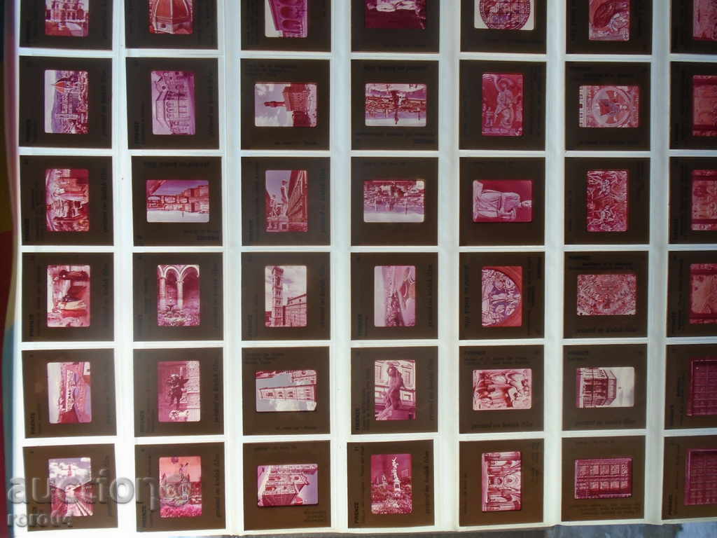 Auction  150 DIAPOSITES WITH FLOWER MUSEUM'S MUSEUMS