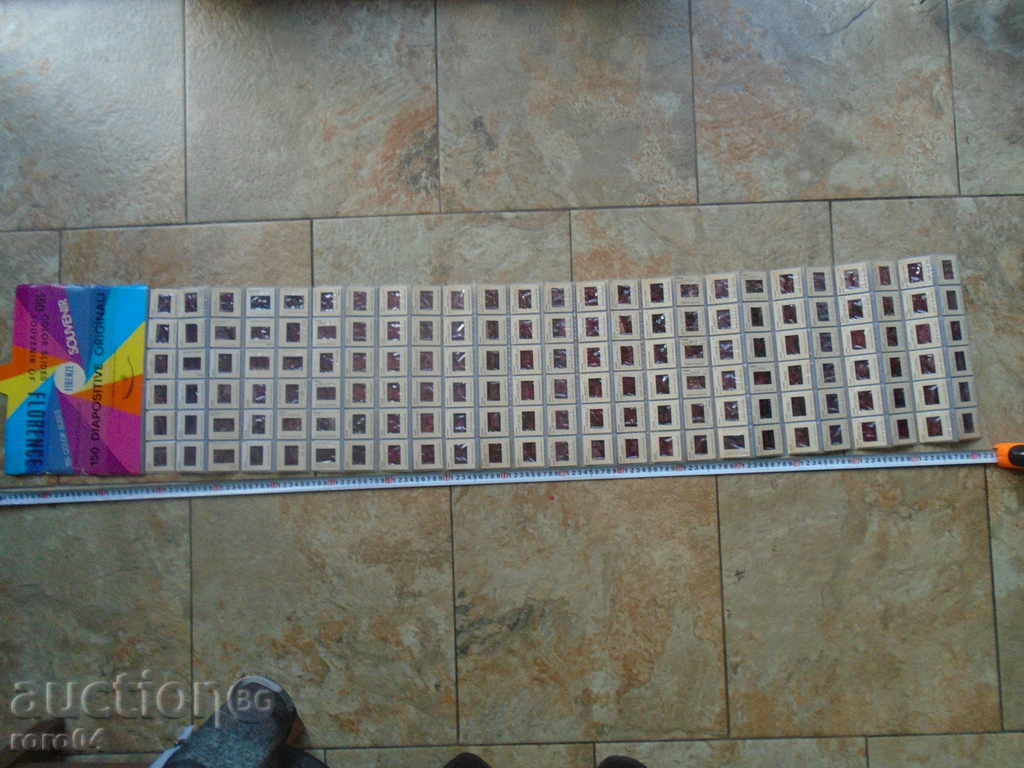 Delivery of 150 DIAPOSITES WITH FLOWER MUSEUM'S MUSEUMS