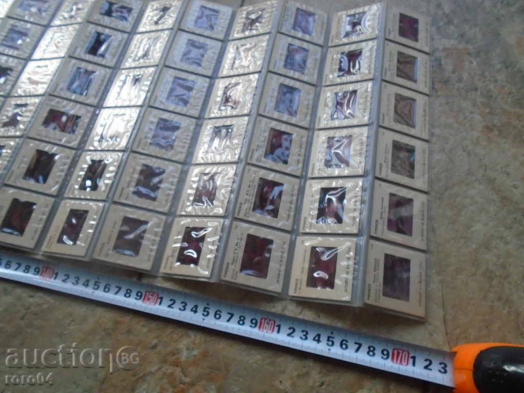 150 DIAPOSITES WITH FLOWER MUSEUM'S MUSEUMS - 5