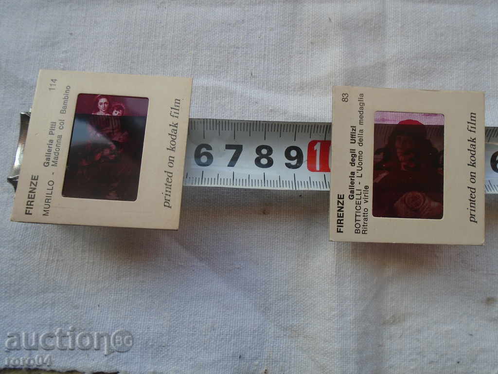 150 DIAPOSITES WITH FLOWER MUSEUM'S MUSEUMS - 6